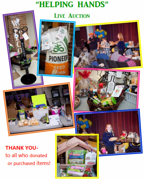 Helping Hands Auction