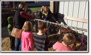 Day on the Farm