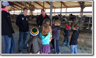 Day on the Farm
