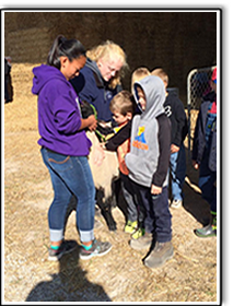 Day on the Farm 2017