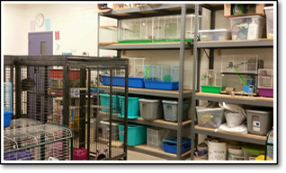 Classroom Facility 2