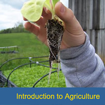 Intro to Agriculture