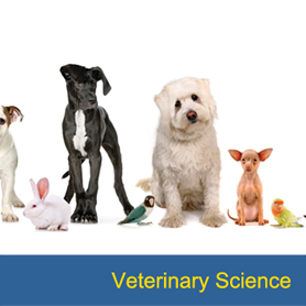 Veterinary Science