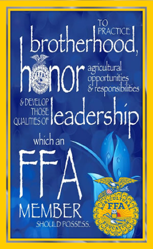 FFA Banner