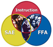 SAE Logo